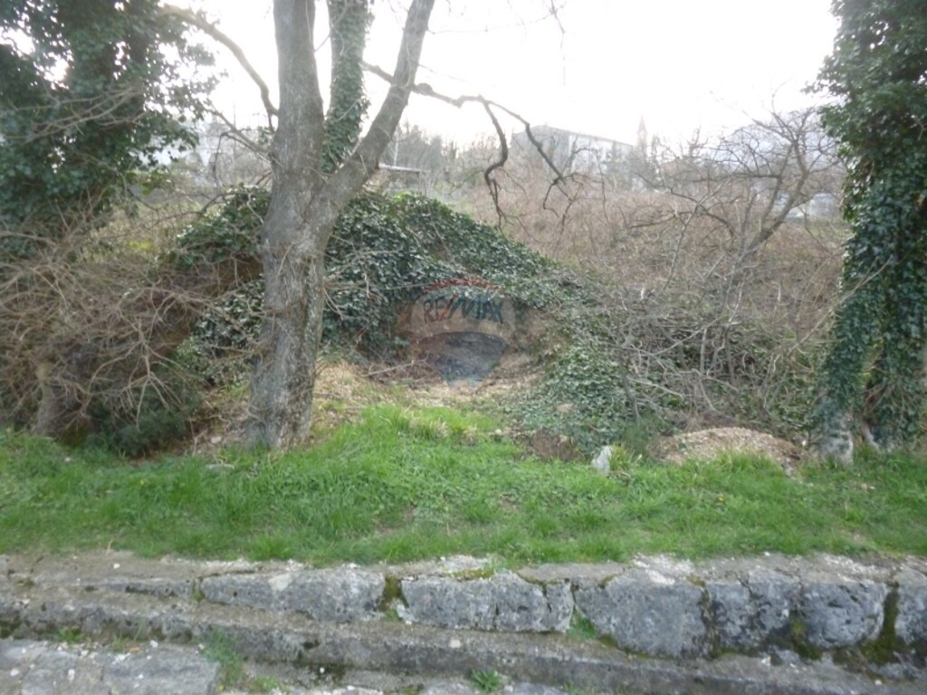 Image 5411063 - 4