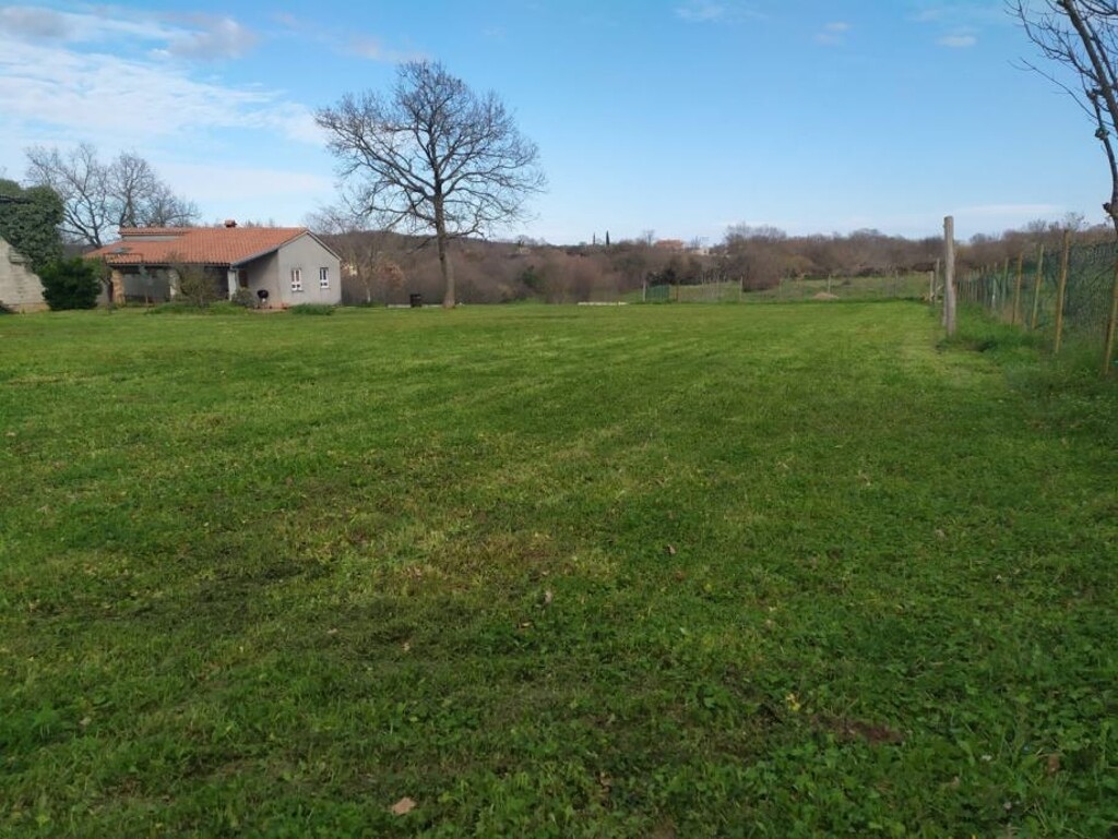 Image 15