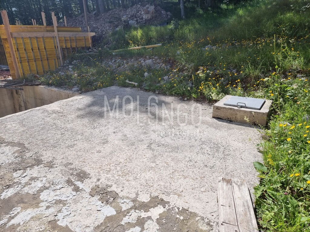 Image 15