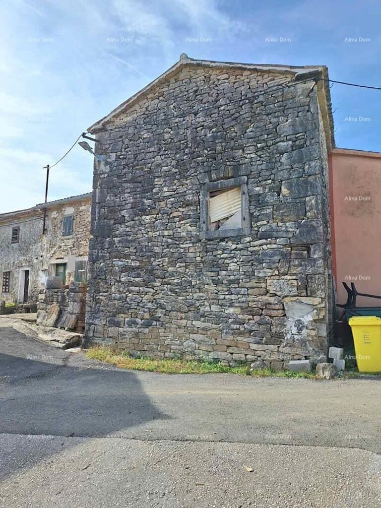 Image 9