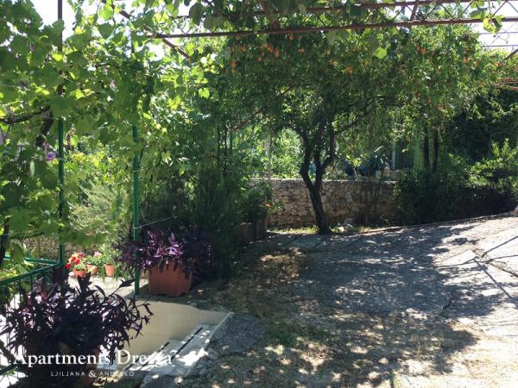 Image 3811608 - 9
