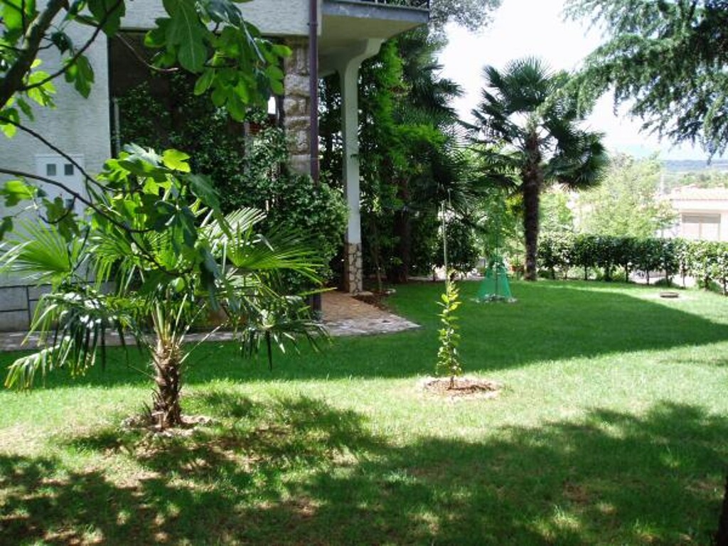 Image 3811923 - 3