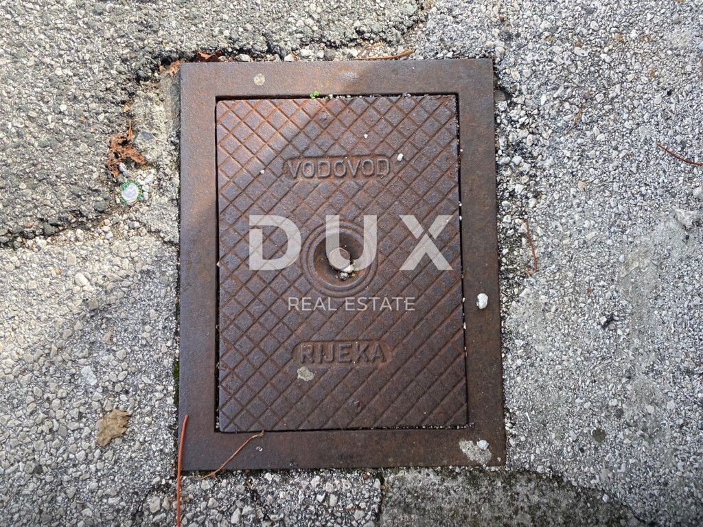 Image 16