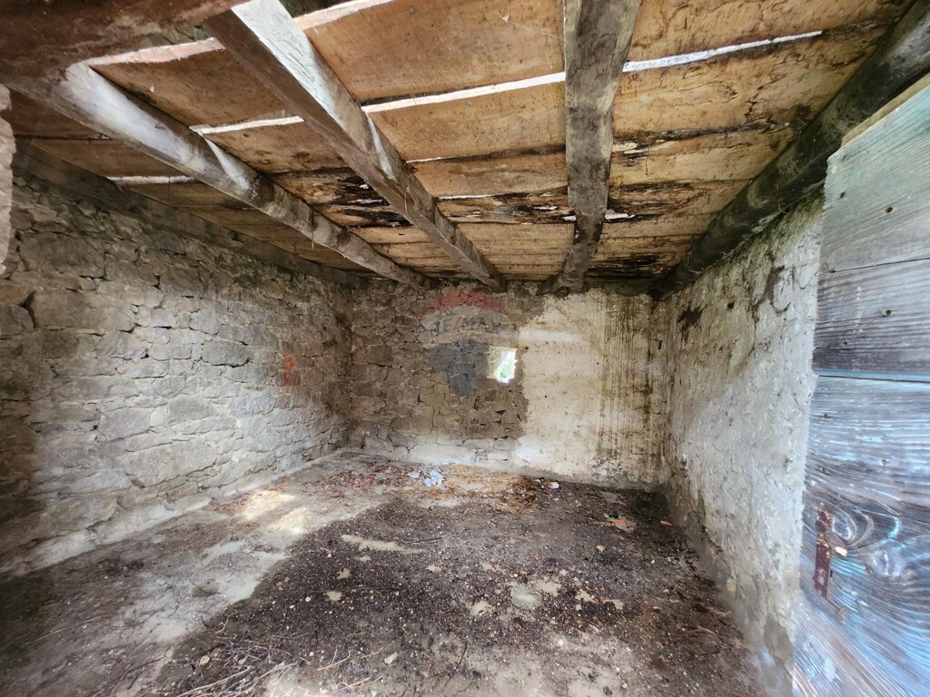 Image 21