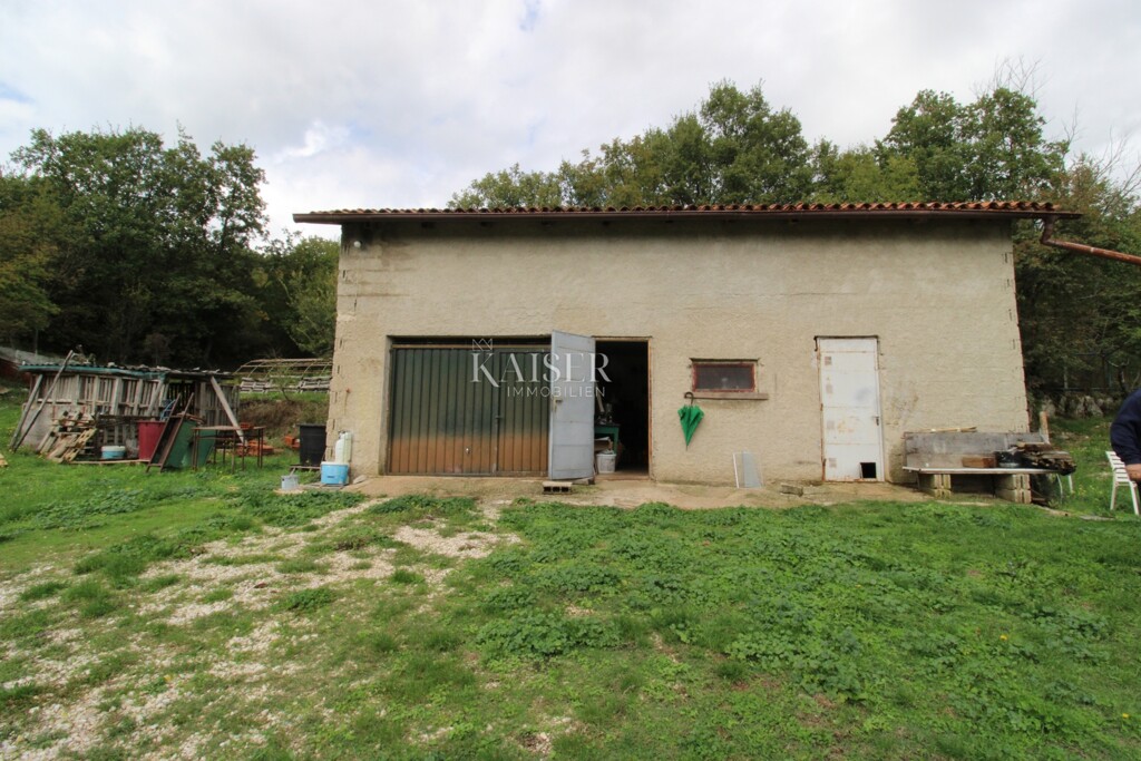 Image 22