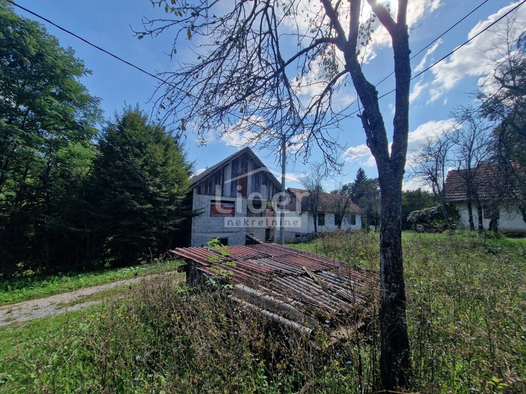 Image 6150386 - 2