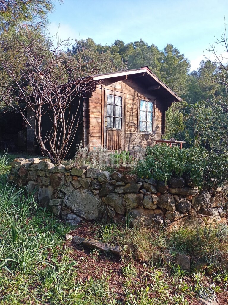 Image 19