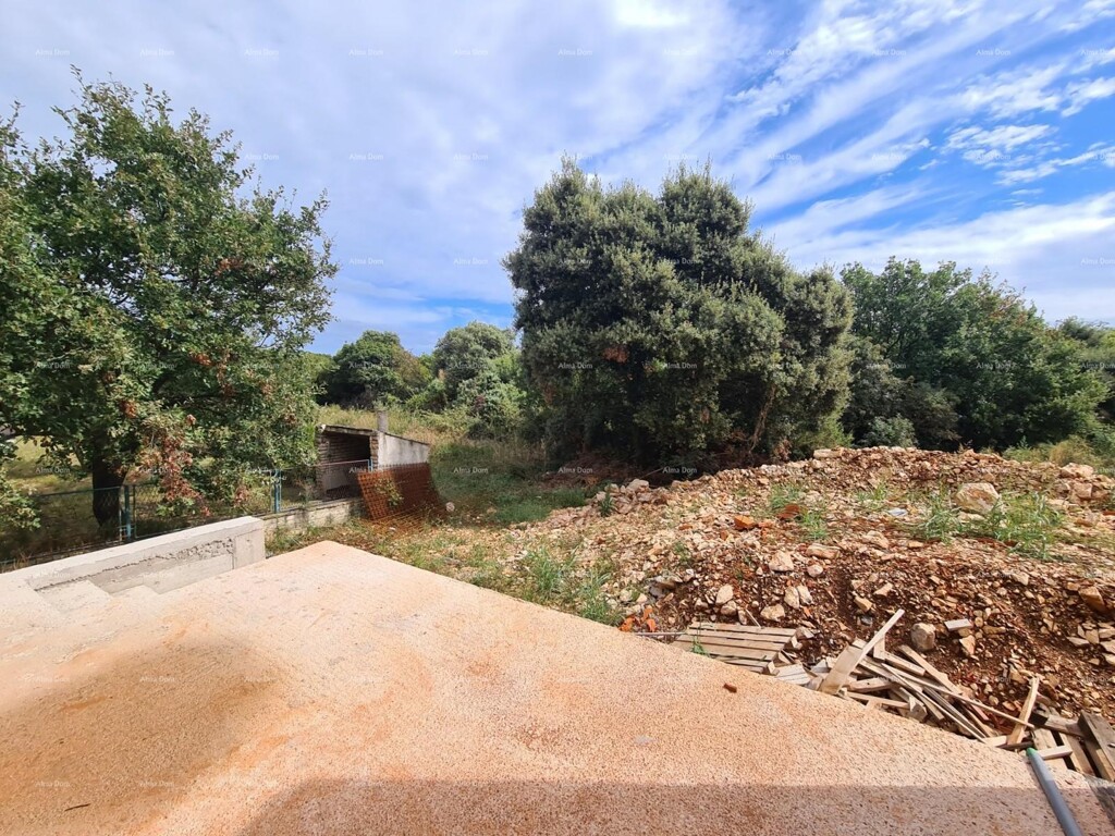 Image 15