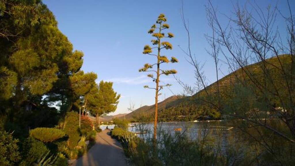 Image 3810644 - 29