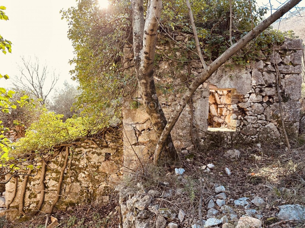Image 12