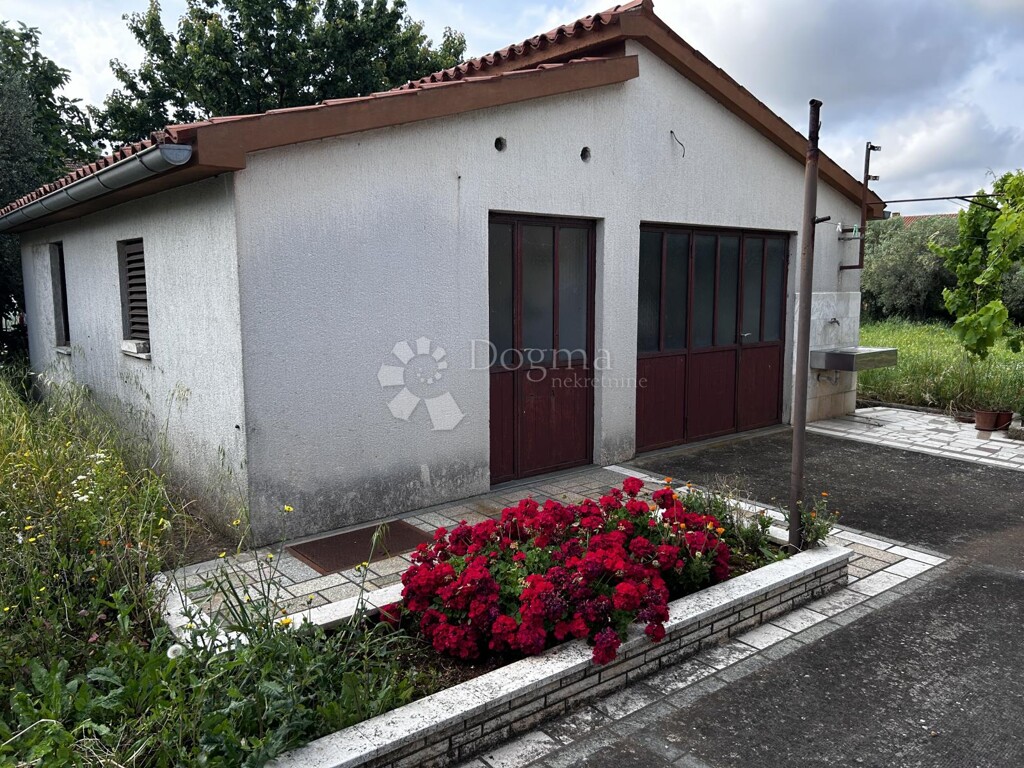 Image 20