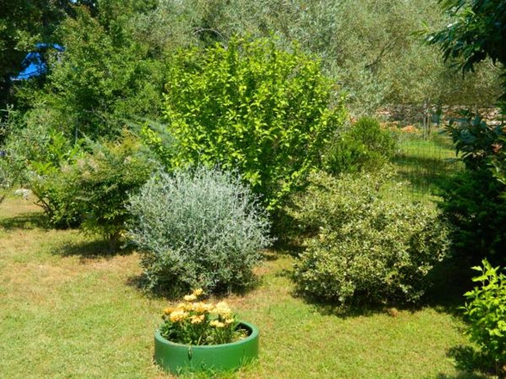 Image 3811431 - 5