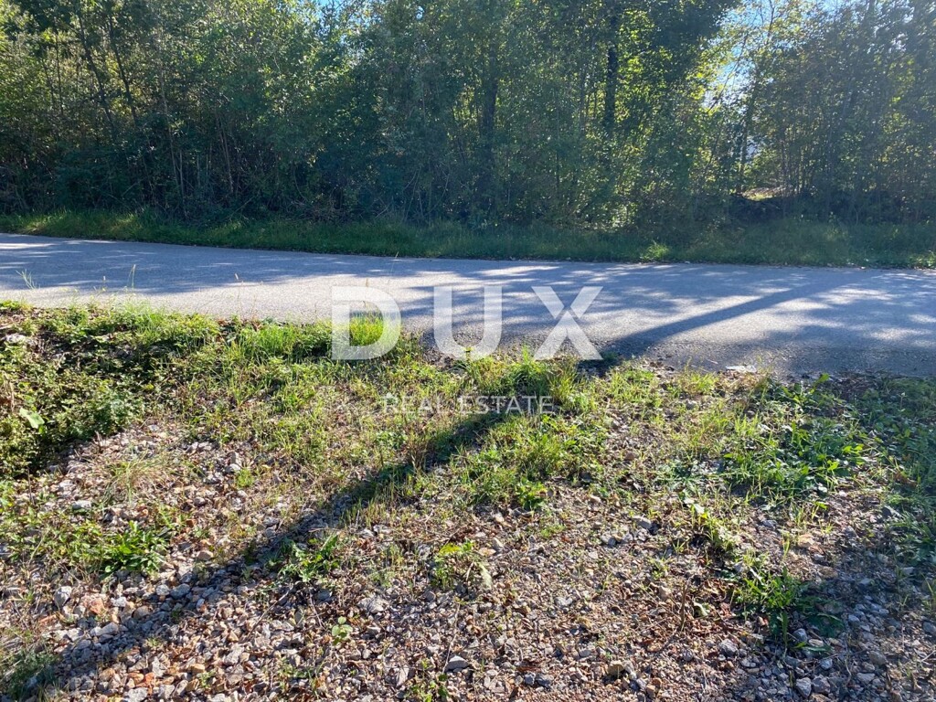 Image 22