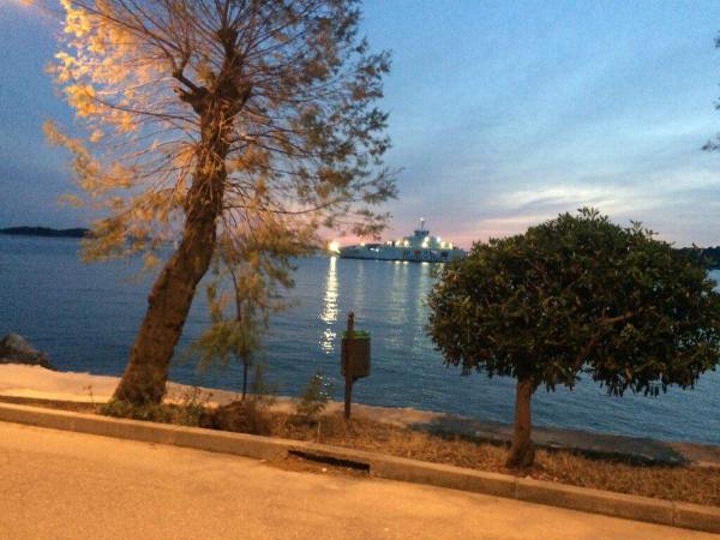 Image 11