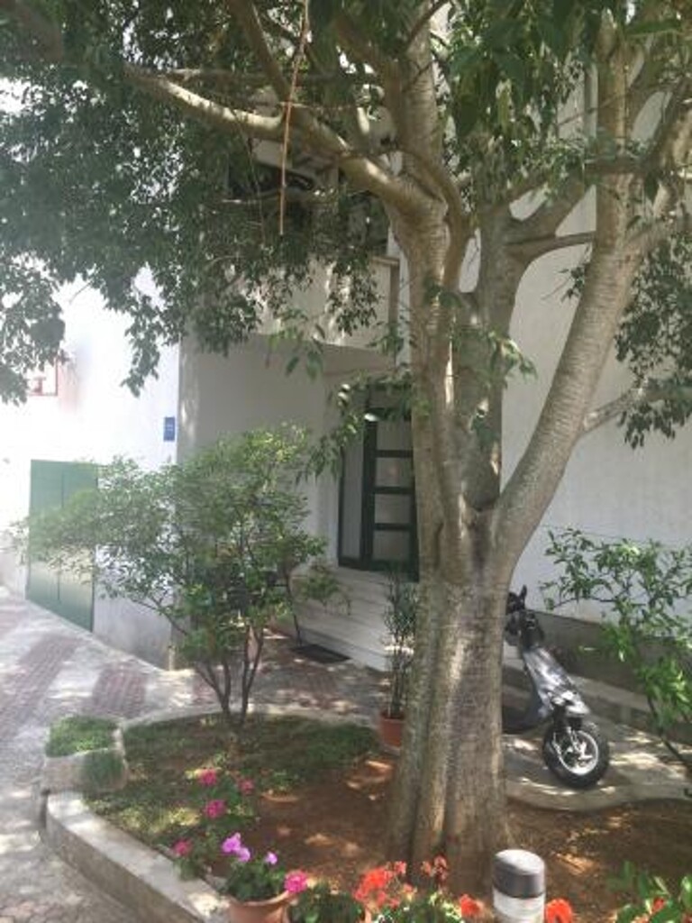 Image 3810994 - 7