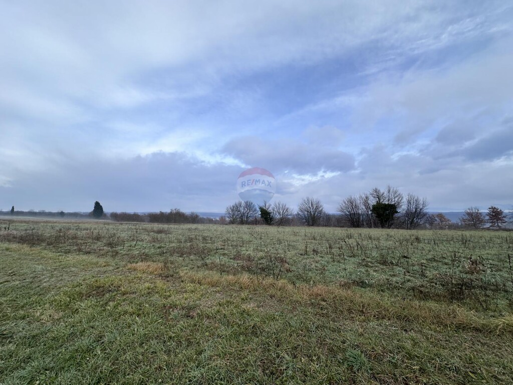 Image 5428921 - 5