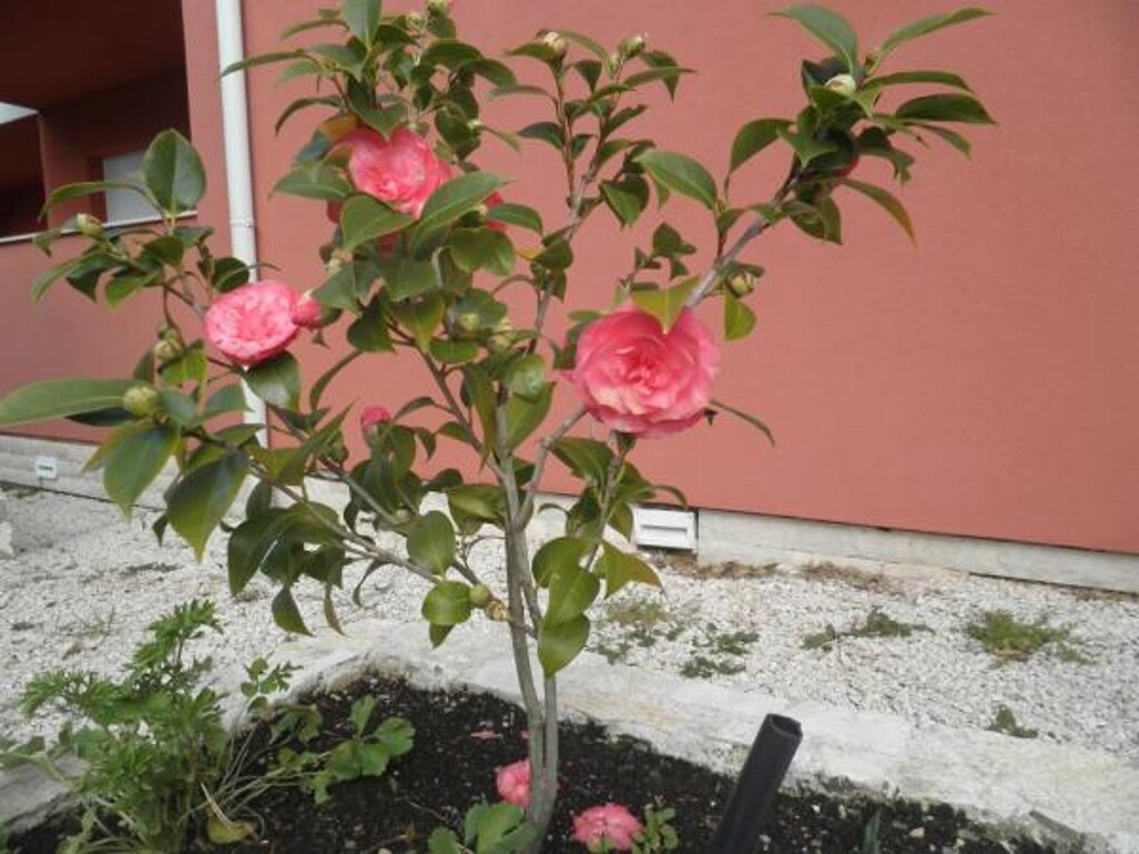 Image 3812097 - 4