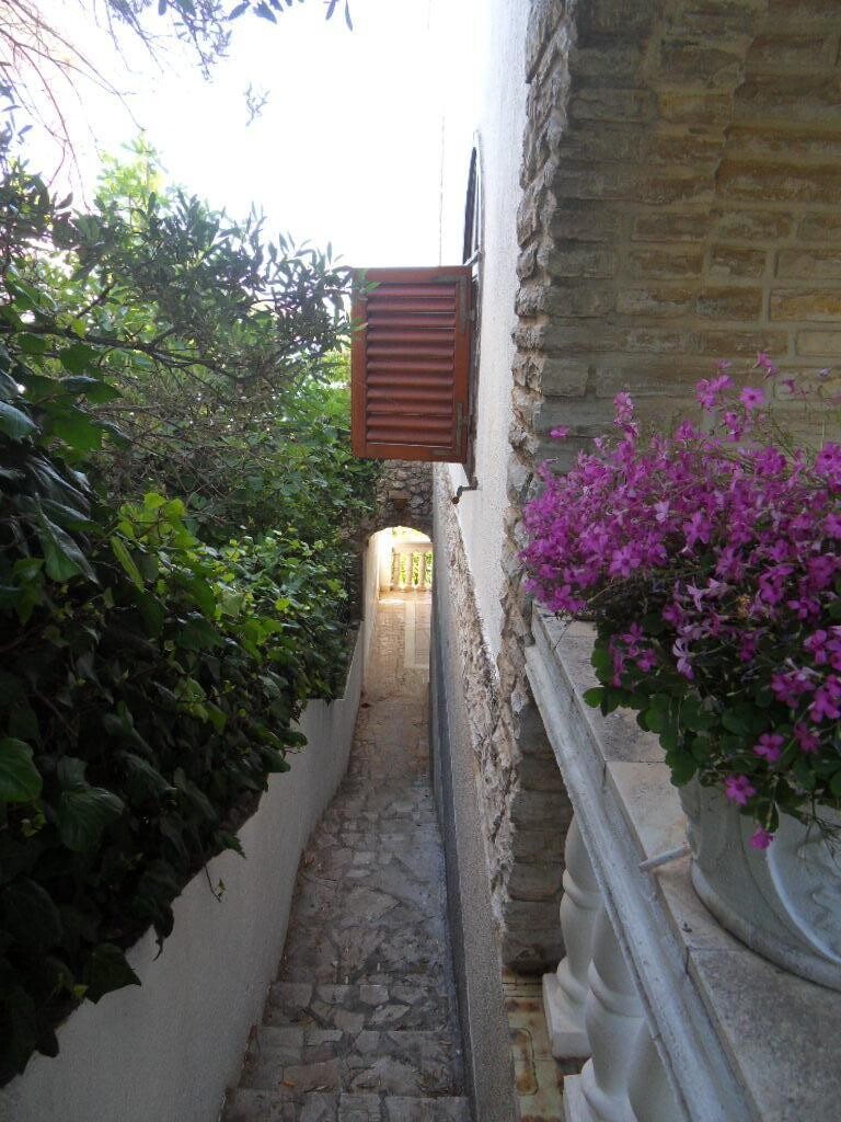 Image 21