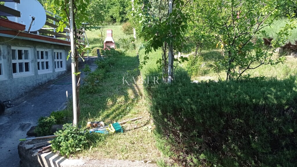 Image 13