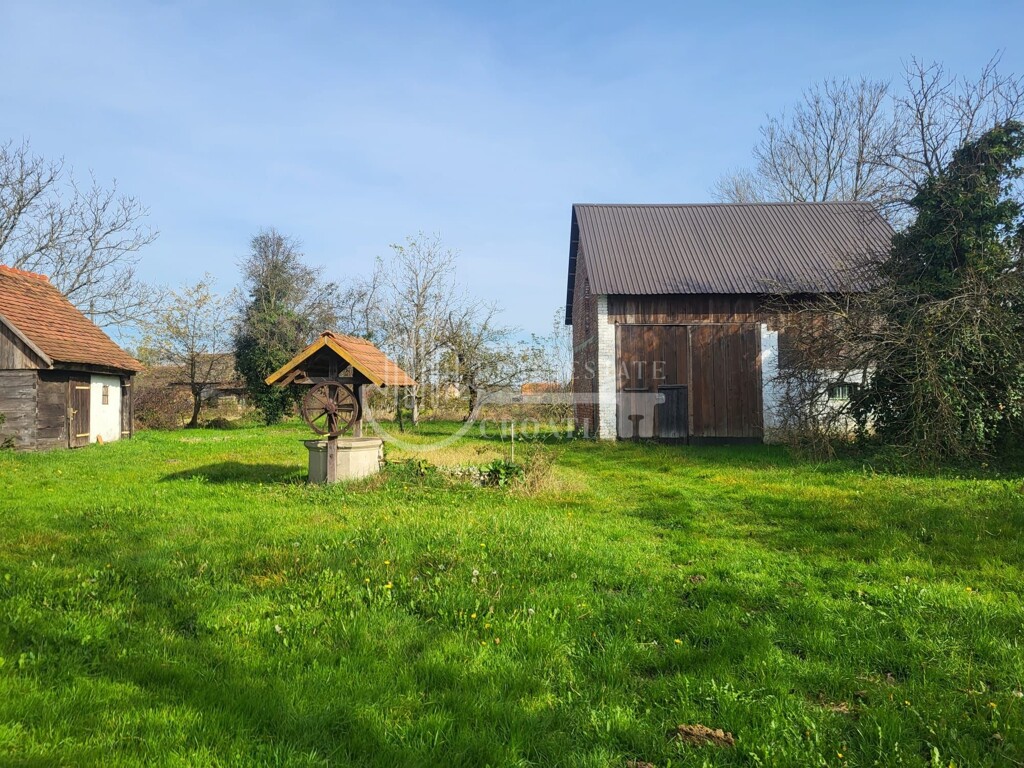 Image 12