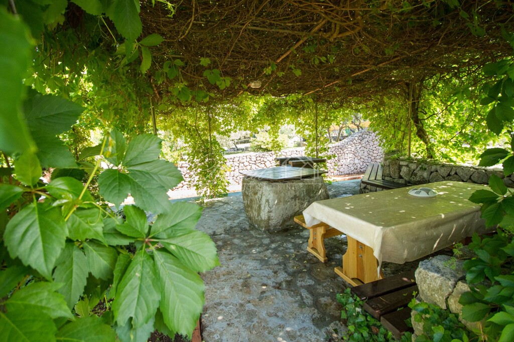 Image 21