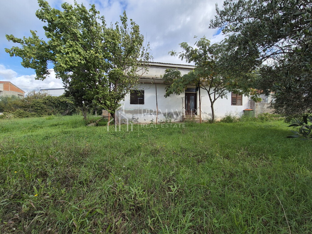 Image 14