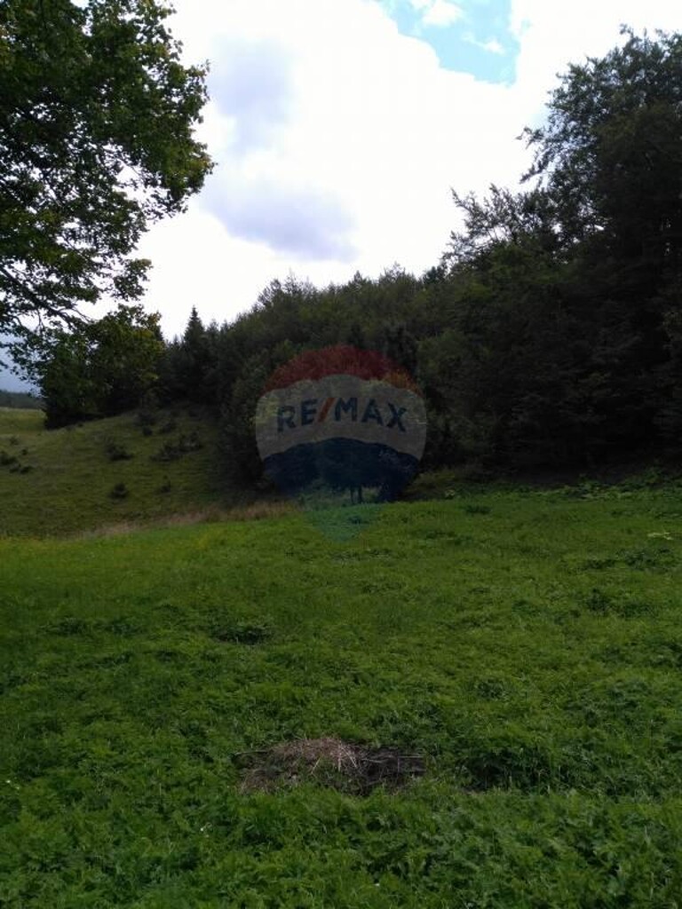 Image 5410367 - 2