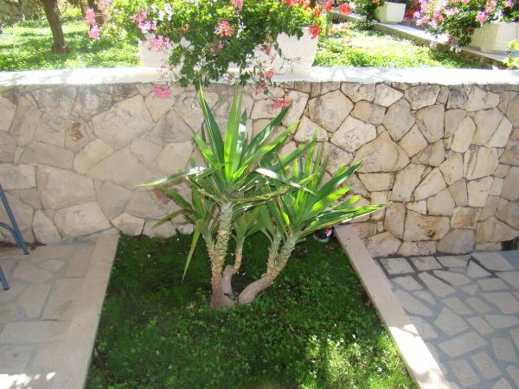 Image 3810879 - 20