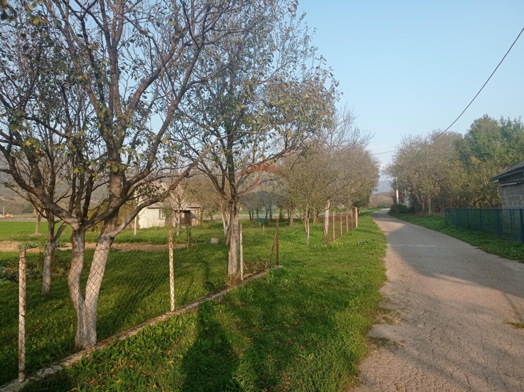 Image 5487649 - 3