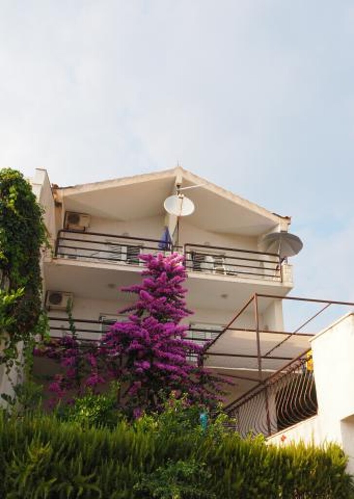 Image 3812530 - 1