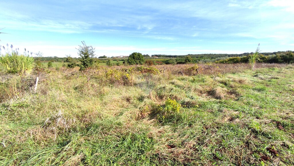 Image 5429139 - 1