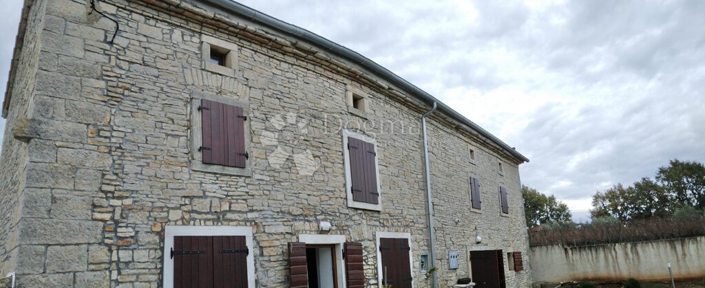 Image 19