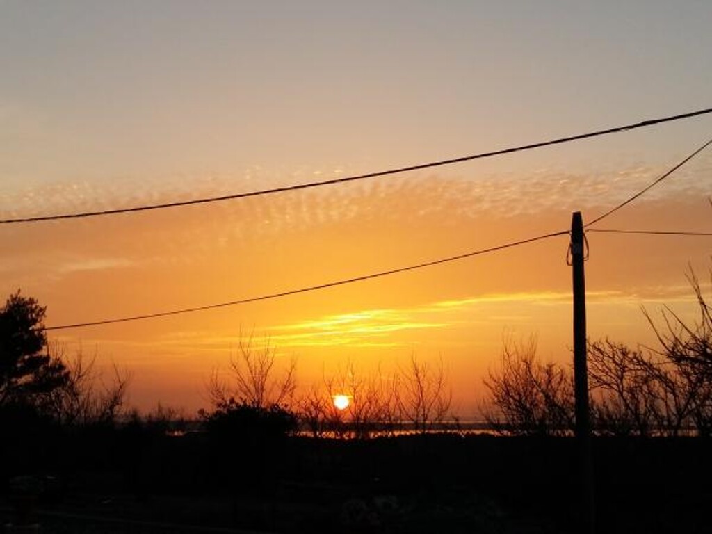 Image 3813186 - 29