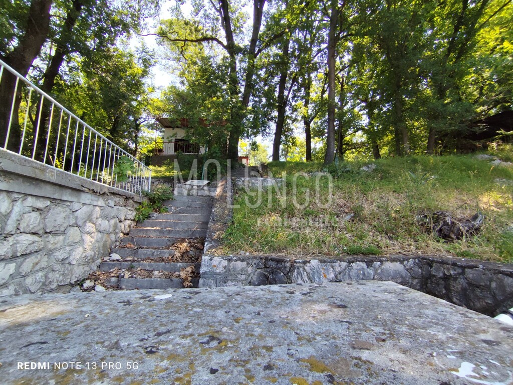 Image 6109096 - 7