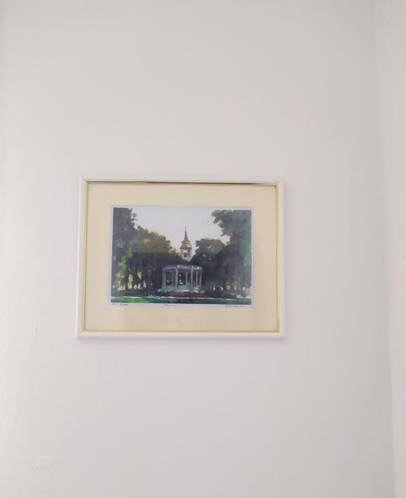 Image 14