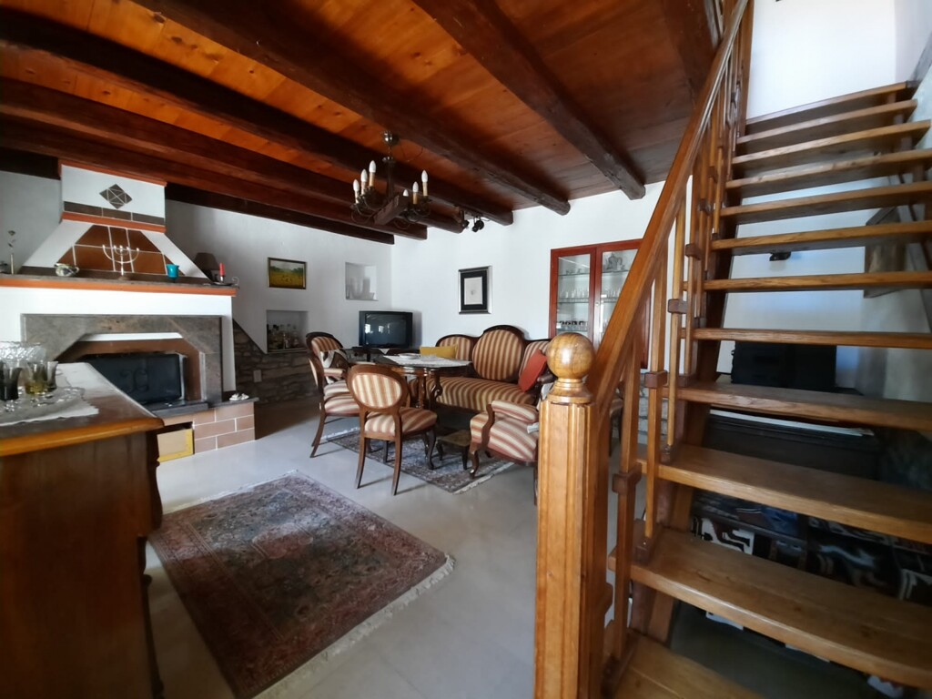 Image 13