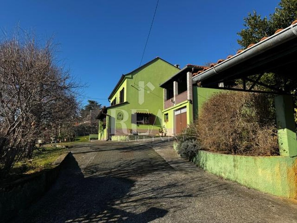 Image 6201887 - 2