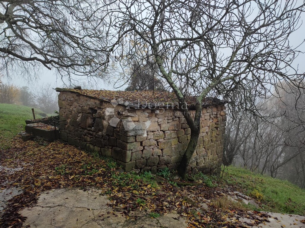 Image 14