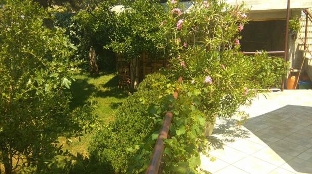 Image 3811179 - 11