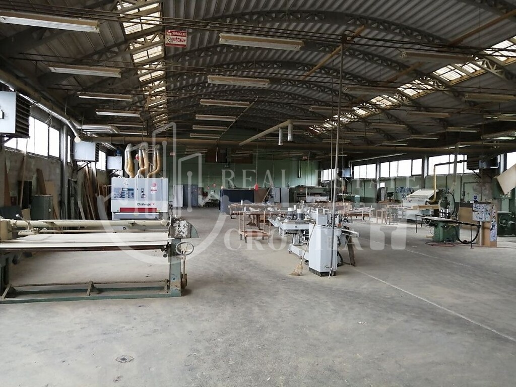 Image 8