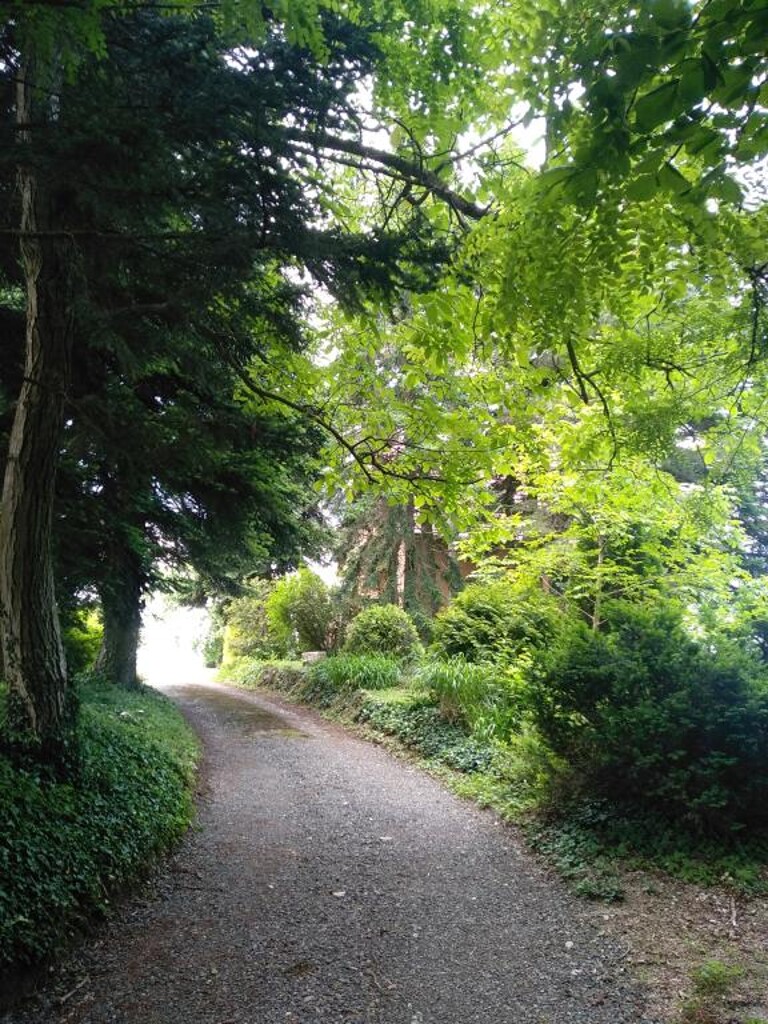 Image 14