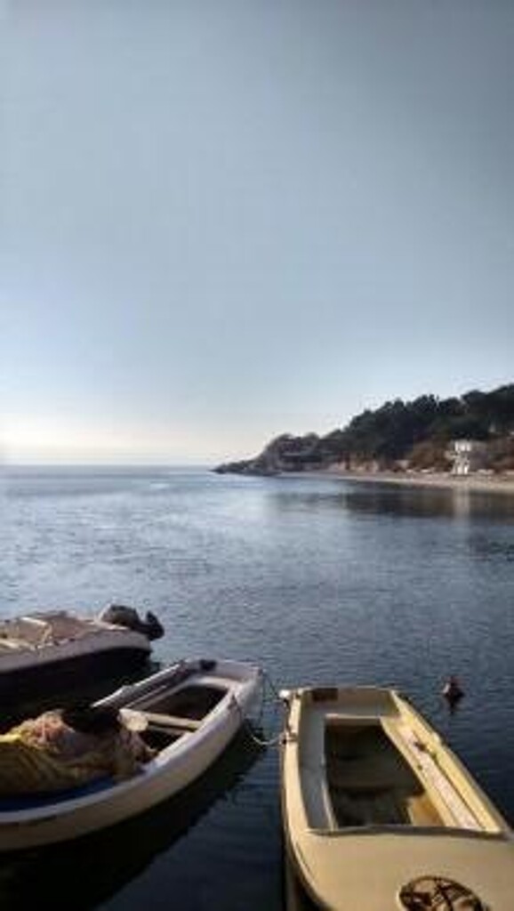 Image 3813355 - 13