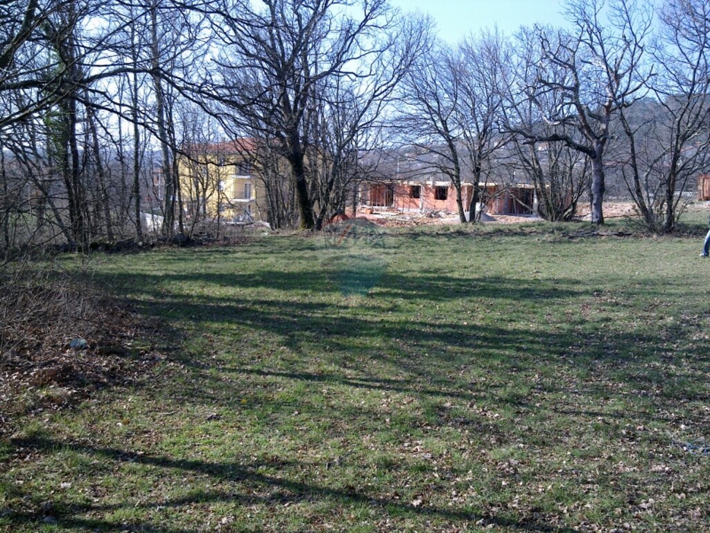 Image 5411067 - 4