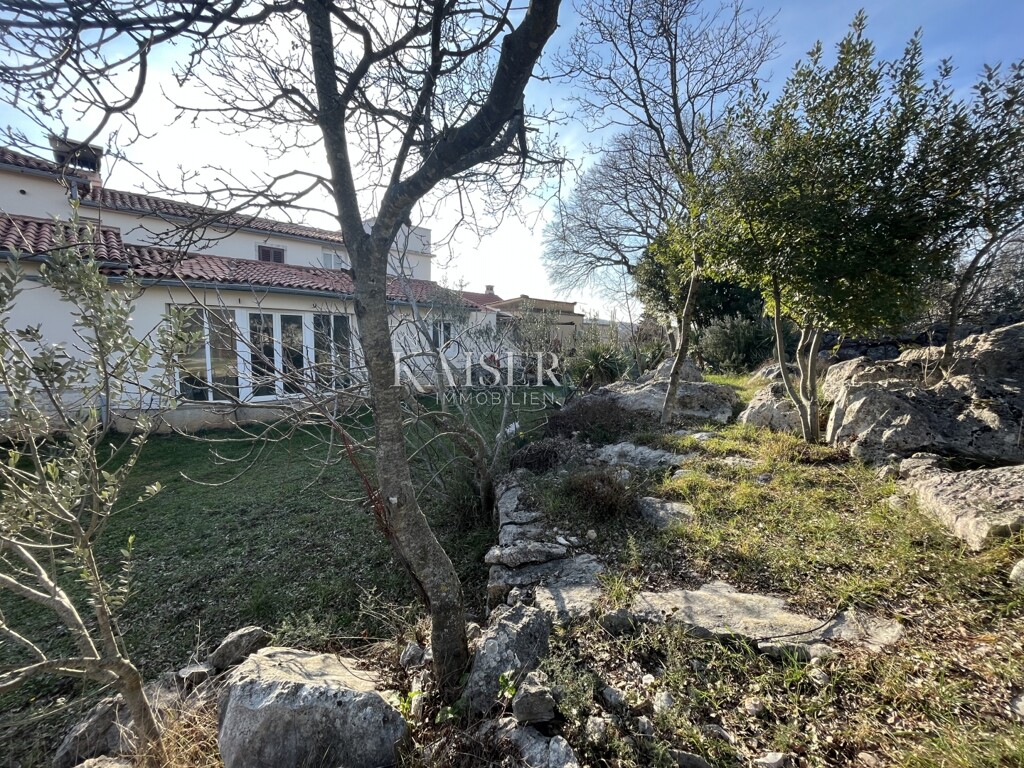 Image 23