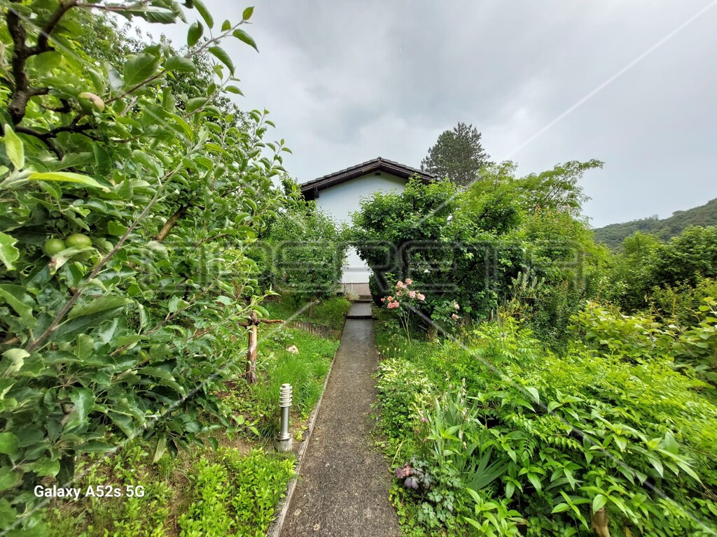 Image 15