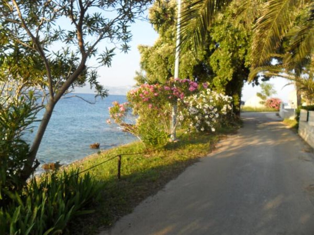 Image 3812764 - 21