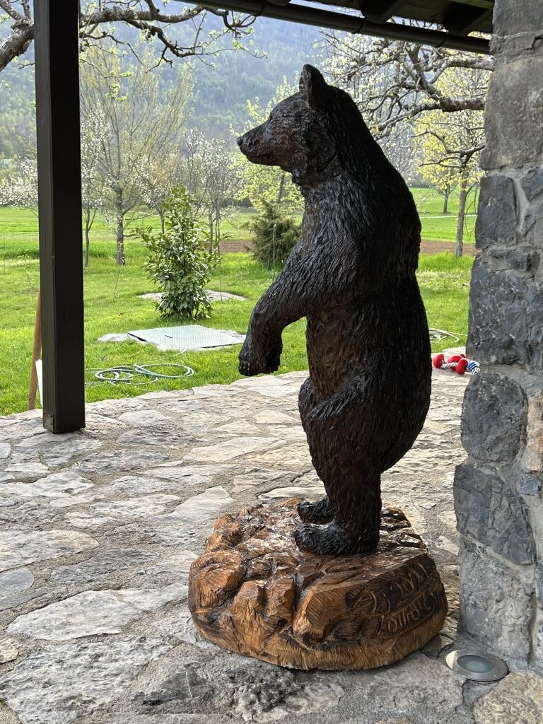 Image 25
