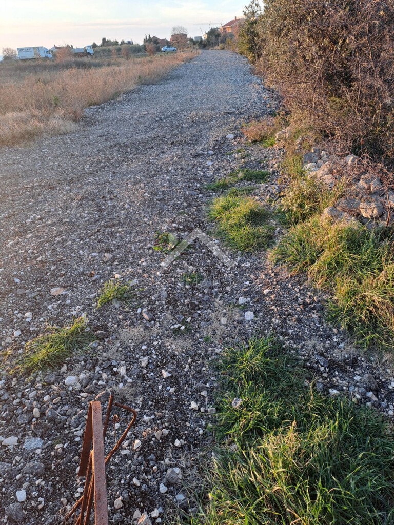 Image 9