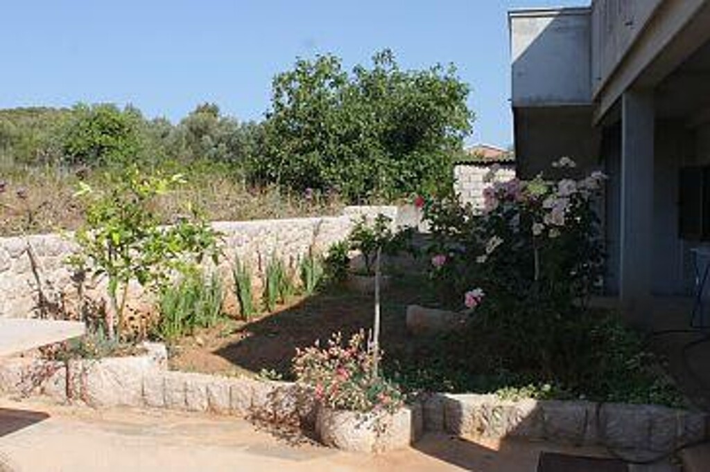 Image 3832237 - 6