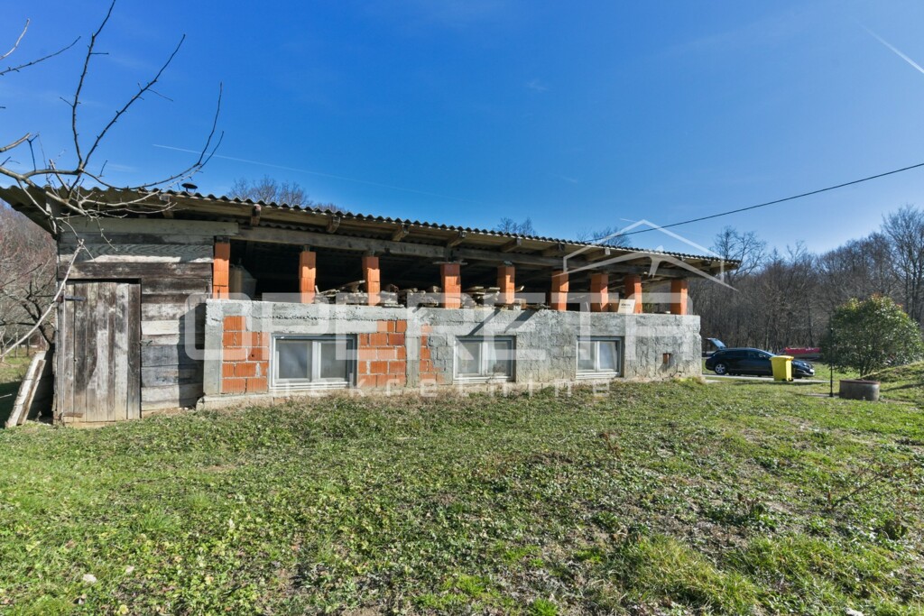 Image 9